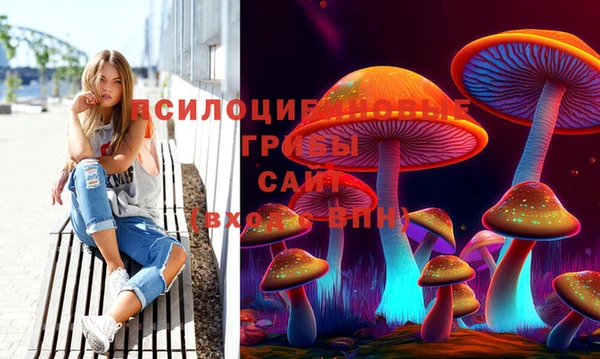 spice Медвежьегорск