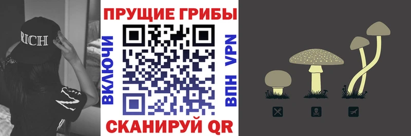 Псилоцибиновые грибы прущие грибы  где купить   Усолье 